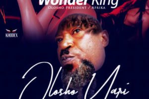 "Olosho Yari" by Wonder King x D Gang