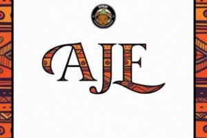 DMW – 'Aje' feat. Davido, Peruzzi, Yonda & FreshVDM