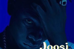 'Joosi' by Terry Apala