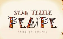 Pempe by Sean Tizzle
