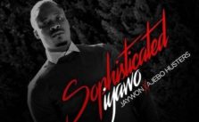 Sophisticated Iyawo by Jaywon ft. Ajebo Hustlers
