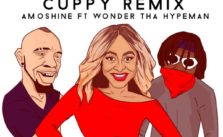 Accolades (Cuppy Remix) by Amoshine ft. Wonda Tha Hypeman