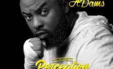 Based On Believe by VJ Adams ft. Harrysong