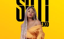 Eko by Soti