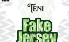 Fake Jersey by Teni
