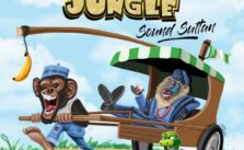 Naija Jungle by Sound Sultan