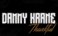 Thankful by Dammy Krane