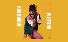 Plotting by Burna Boy